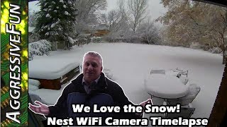 2019 Snowstorm Captured with Nest WiFi Video Camera in Timelapse Mode