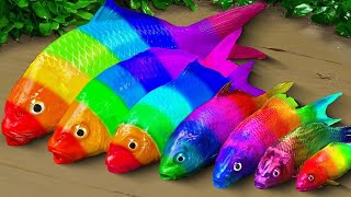 Stop Motion Amazing Daily Fishing Mud - Colorful Koi Fish Trap Hunting Eel Underground Experiment by Animal Stop Motion Cooking 221,276 views 10 months ago 8 minutes, 24 seconds