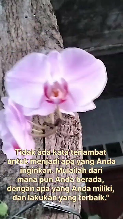 Self motivation, life motivation, wise words, pearls of wisdom, motivation, motivational words,