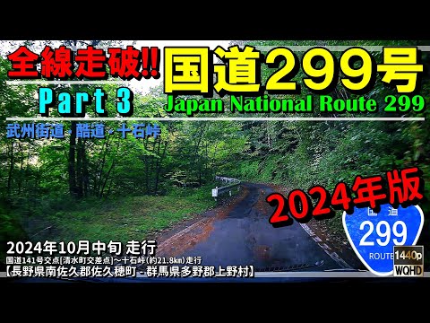 【全線走破】国道299号 Part 3(2024年版)|武州街道|酷道|十石峠|国道141号|国道462号|長野県佐久群郡佐久穂町~群馬県多野郡上野村|2024年10月上旬【車載動画】