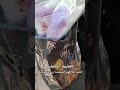 توفير كسوة بيبي لأخت ناشدتنا بتوفير كسوة بارك الله في فاعلين الخير على جبر الخواطر