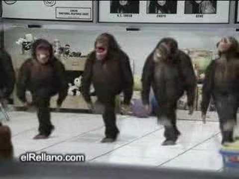 Βίντεο: Γελώντας μαϊμούδες για τα δάκρυα του πολιτισμού