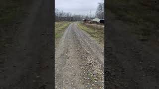 unreal machine brings driveway gravel back to the surface!