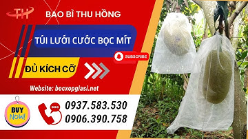 Túi lưới cước đủ kích cỡ cho nhà vườn bọc mít giá sỉ tốt nhất