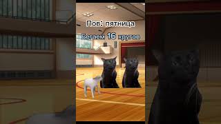 пов: пятница🔥 часть 2 #коты #котята #мемы #пов #футажи