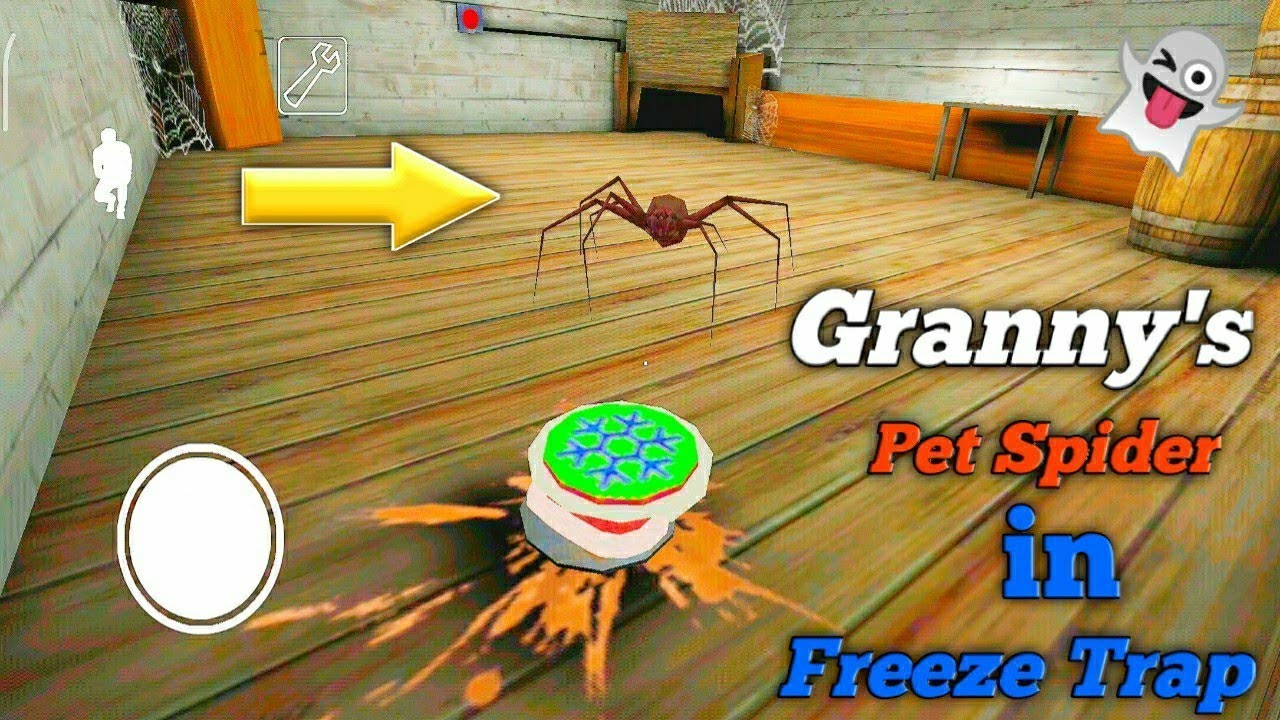 FREEZING PET SPIDER! Granny New Update GamerBoy Prakash YouTube