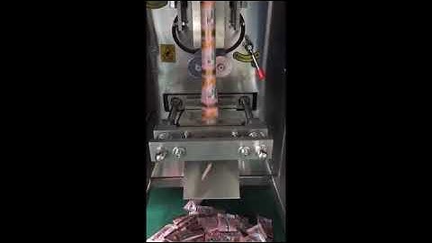 Vertical packing machine with bucket conveyor