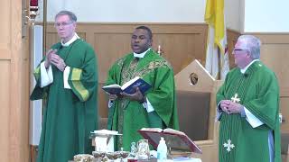 Sunday Mass - February 15, 2026