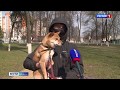 Выгул собак в условиях режима самоизоляции в Брянской области