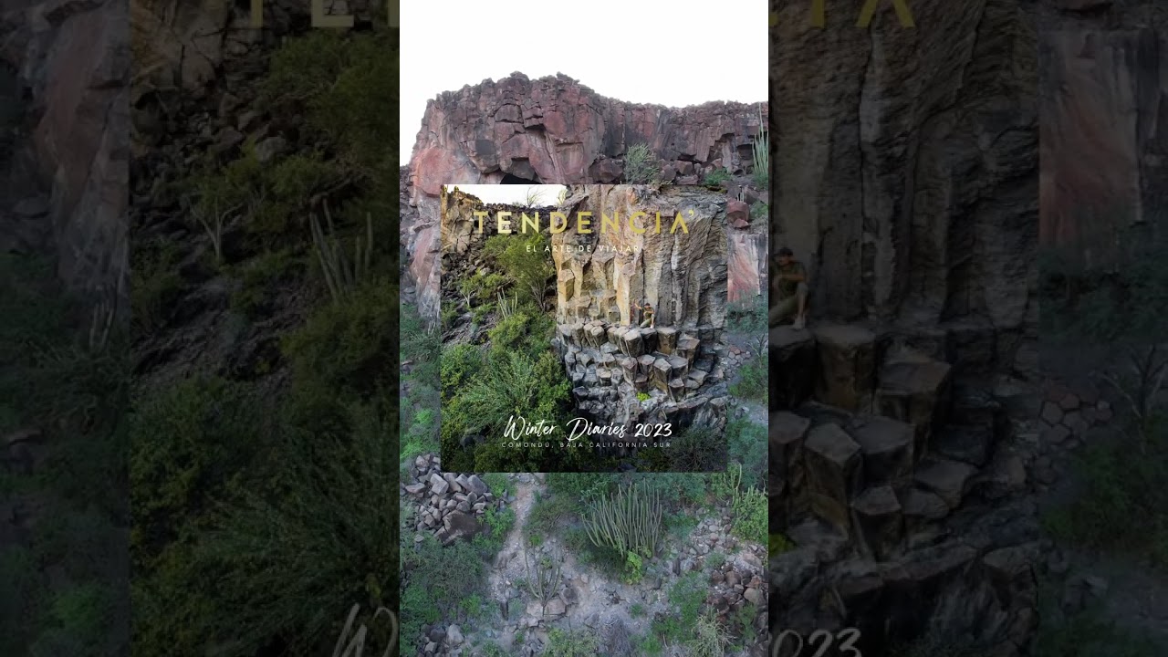Winter Diaries 2023 - Comondú, Baja California Sur