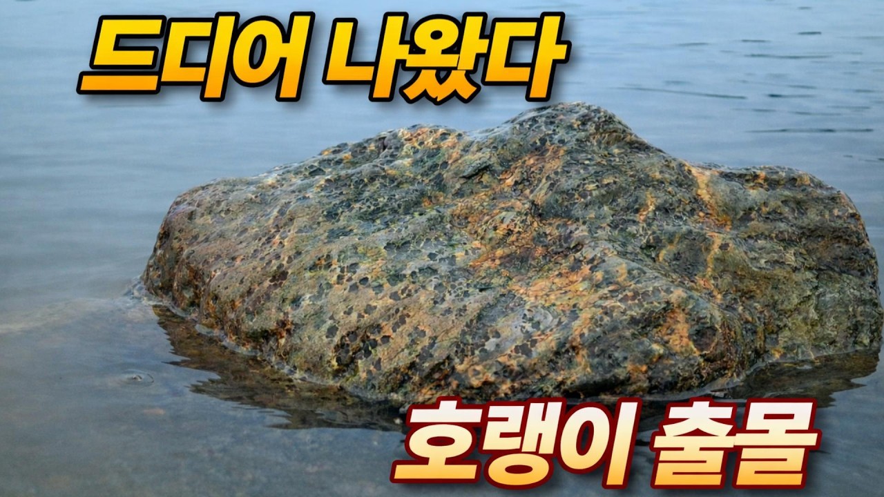 드디어 나왔다… 이건 확실히 다릅니다