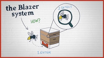 How IOT is saving the Honey Bees HD