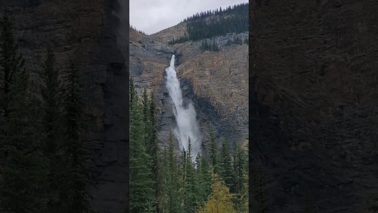 International forest day.. 