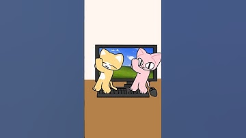 I thought it was a cat, but it is a cat