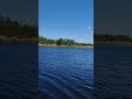 tutaj nie ma przyjaciół z dzikiego wschodu