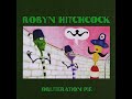 ~ Robyn Hitchcock ~ Obliteration Pie ~