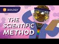 The scientific method crash course biology 2