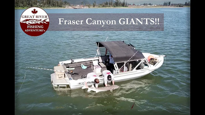 EPIC! Sturgeon Fishing on the Fraser River - this is awesome!!
