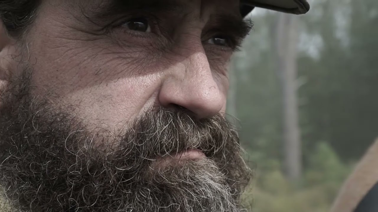 Company K An ode to the 1st Maine Heavy Artillery Regiment