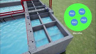 C_Tech™ cyclic activated sludge process