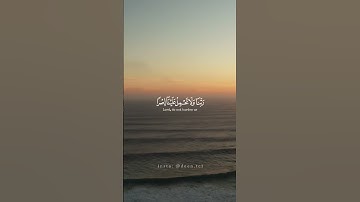 لا يكلف الله نفسا إلا وسعها ♥️ للقارئ الجزائري عبد العزيز سحيم#القرآن#عبدالعزيز_سحيم#عبد_العزيز_سحيم