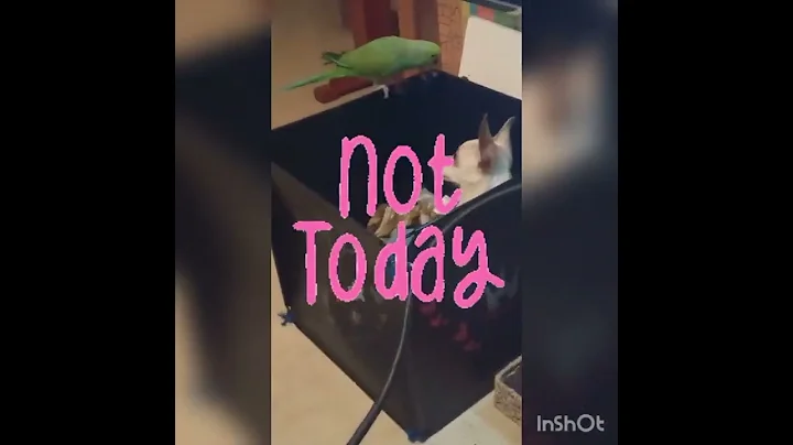 not again
