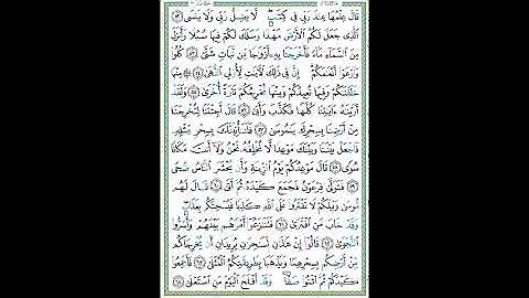 سورة طه الصفحة ٣١٥