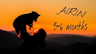 Sheltie puppy-Airin, 5-6 months | FUN and TRICKS! by Terka Šubrtová 3,595 views 8 years ago 4 minutes, 27 seconds