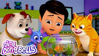 Meow Meow Billi Karti     More Popular Kids Nursery Rhymes  Ding Dong Bells Kids