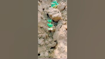 Jaat ❤️ Jaat Status ❤️ Scorpio Lover 😘 #shorts #jaatStatus #jaatshorts #bgmi