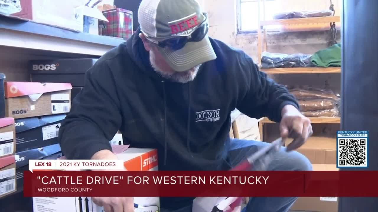 "Cattle Drive" for western Kentucky