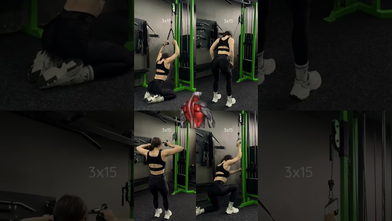Train your Back #shorts #motivation #lifestyle #fitness #workout