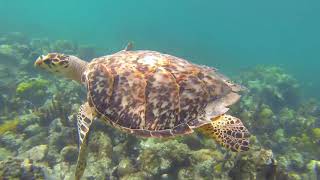 Our Turks and Caicos Islands