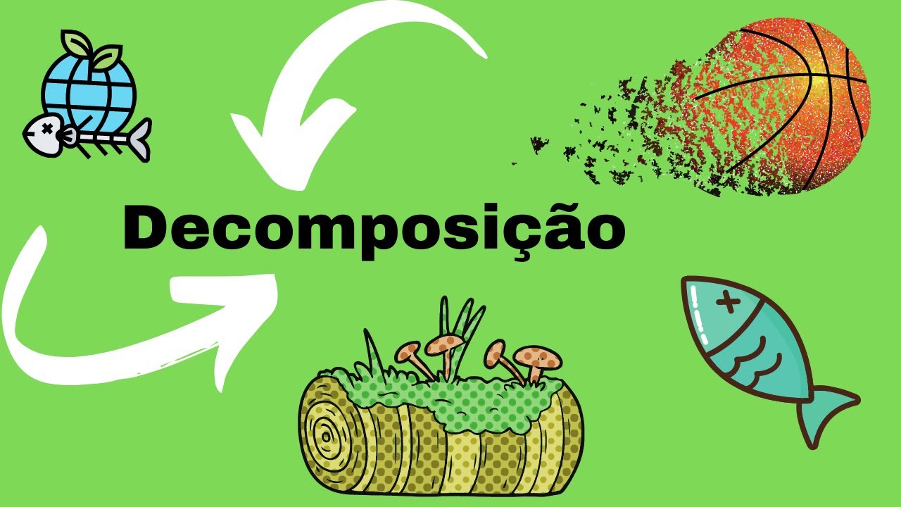 Google O Que é Decomposição - BINKEDU