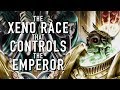 40 Facts and Lore on the Cryptos Xenos Race Warhammer 40k