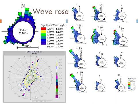 WIND AND WAVE ROSE