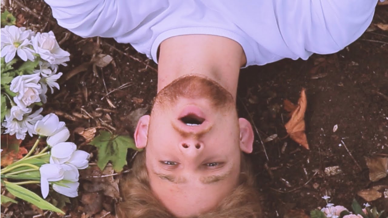 Watch Owlite - FLOWERS on YouTube Watch Owlite - FLOWERS on YouTube