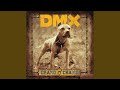 Miniature de la vidéo de la chanson Dog Intro (Album Version Explicit)