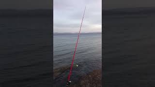 Απογευματινό ψάρεμα casting 🎣🎣