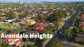 Avondale Heights Town Reel