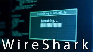 Information Security And Forensic Project | Kali Linux | Nikto, Zenmap, Wireshark, OWASP-ZAP (bWAPP)