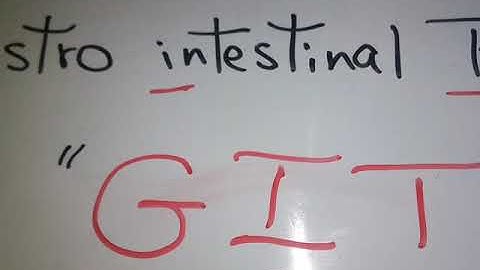 Functions of Sympathetic (GIT and Pelvis) dr mohamed fayez