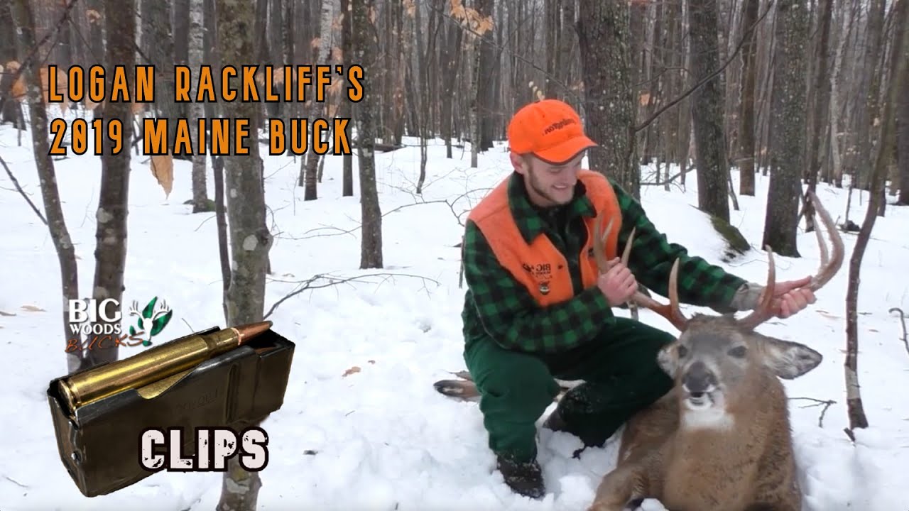 Logan Rackliff's 2019 Maine Muzzleloader Buck Big Woods Bucks YouTube