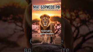 Гороскоп на сегодня 19.10.2025 #гороскоп #гороскопсегодня #овен #рак #рыбы #козерог #телец #лев