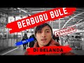 BERBURU BULE DI BELANDA | Eps. 1
