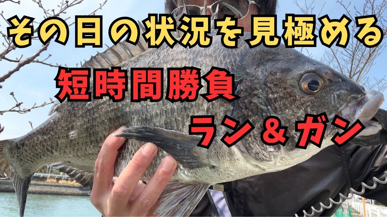 【チニング】ゼロチヌ　season3　短時間？だったらラン＆ガンでしょう【チヌ】