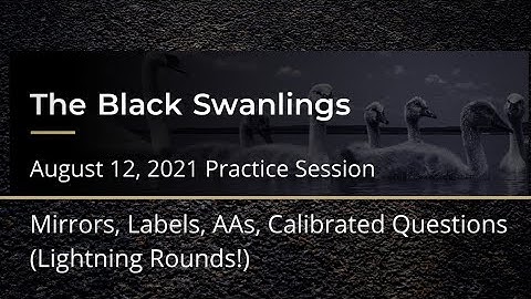August 12, 2021 Practice Session on Mirrors, Labels, AAs, Calibrated Questions (Lightning Rounds!)