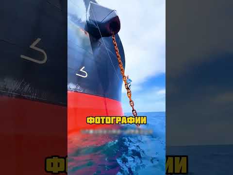 Девушка рискует жизнью ради фотки