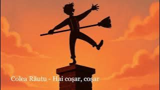 Colea Rautu - Hai cosar, cosar ( Cover )