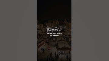 لقد كفر الذين قالو إن الله…بصوت سعد الغامدي سورة المائدة Saad Alghamidi Surat Al Maeda